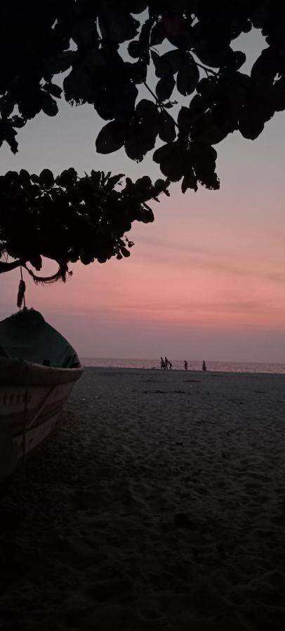 Beachcampers Only For Foreign Traveler'S Alappuzha Ngoại thất bức ảnh