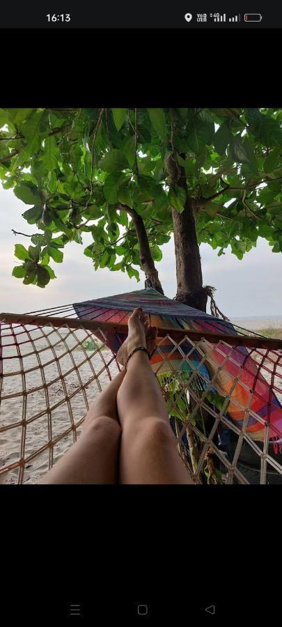 Beachcampers Only For Foreign Traveler'S Alappuzha Ngoại thất bức ảnh